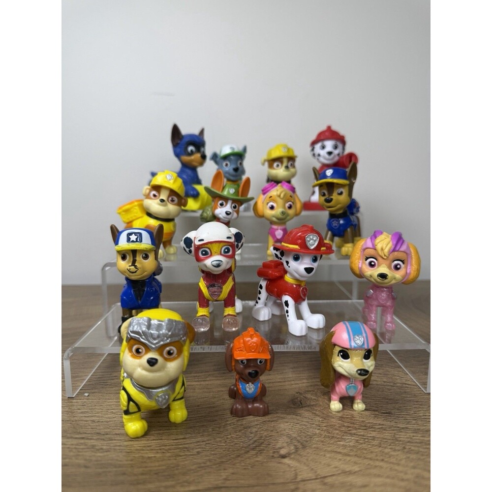 Paw Patrol 15 Piece Mixed Lot